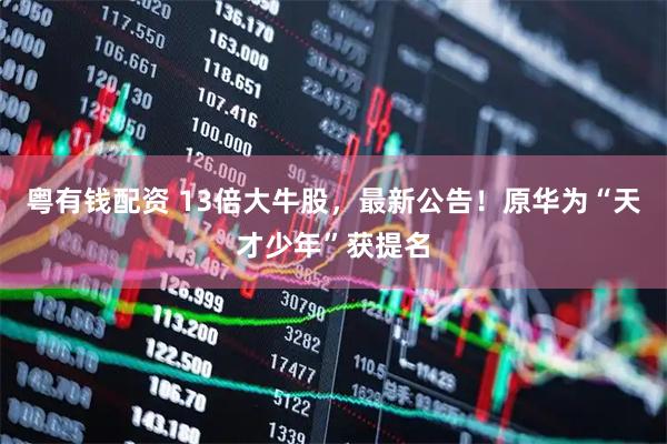 粤有钱配资 13倍大牛股，最新公告！原华为“天才少年”获提名