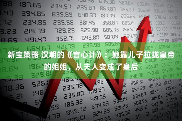 新宝策略 汉朝的《宫心计》：她靠儿子拉拢皇帝的姐姐，从夫人变成了皇后