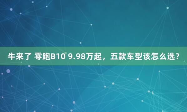 牛来了 零跑B10 9.98万起，五款车型该怎么选？
