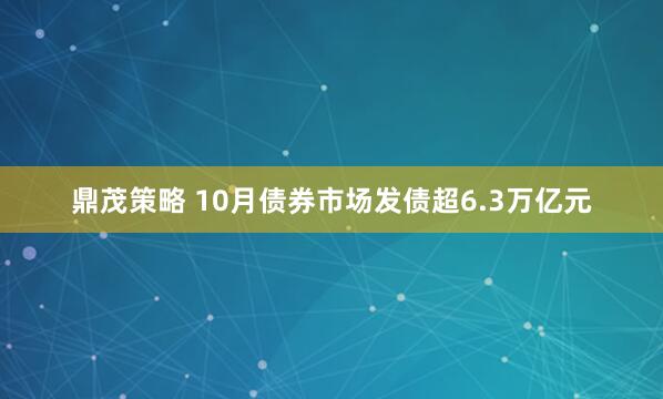 鼎茂策略 10月债券市场发债超6.3万亿元