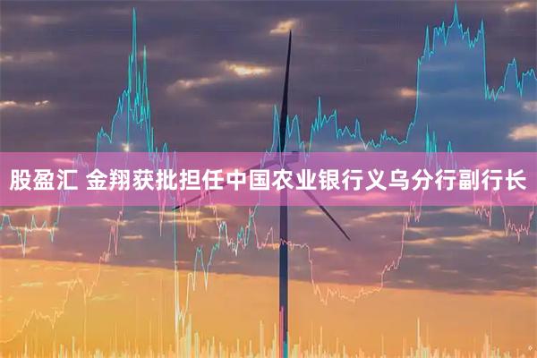 股盈汇 金翔获批担任中国农业银行义乌分行副行长