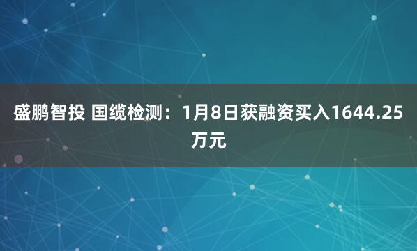 盛鹏智投 国缆检测：1月8日获融资买入1644.25万元