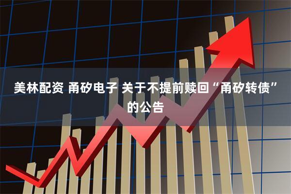 美林配资 甬矽电子 关于不提前赎回“甬矽转债”的公告